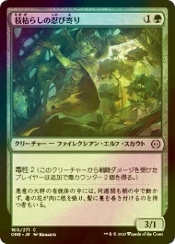 画像1: [FOIL] 枝枯らしの忍び寄り/Branchblight Stalker 【日本語版】 [ONE-緑C]