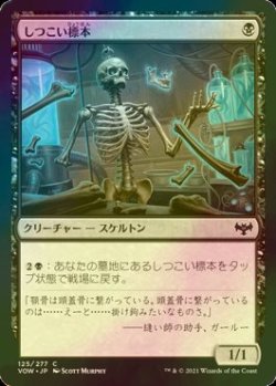 画像1: [FOIL] しつこい標本/Persistent Specimen 【日本語版】 [VOW-黒C]