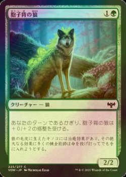 画像1: [FOIL] 胞子背の狼/Sporeback Wolf 【日本語版】 [VOW-緑C]