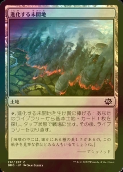 画像1: [FOIL] 進化する未開地/Evolving Wilds 【日本語版】 [BRO-土地C] (1)