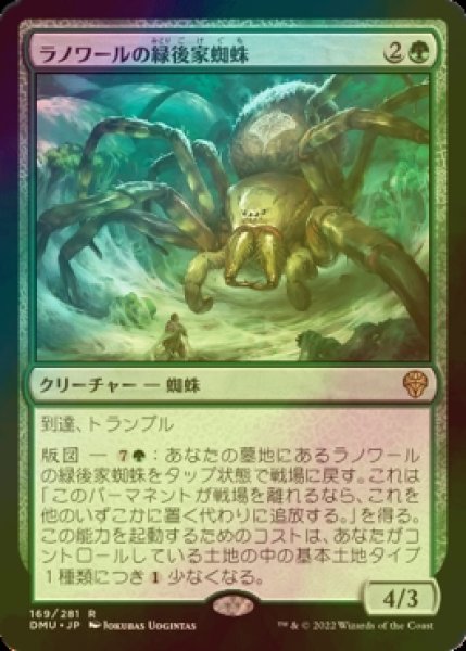 画像1: [FOIL] ラノワールの緑後家蜘蛛/Llanowar Greenwidow 【日本語版】 [DMU-緑R] (1)