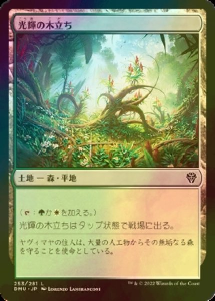 画像1: [FOIL] 光輝の木立ち/Radiant Grove 【日本語版】 [DMU-土地C] (1)