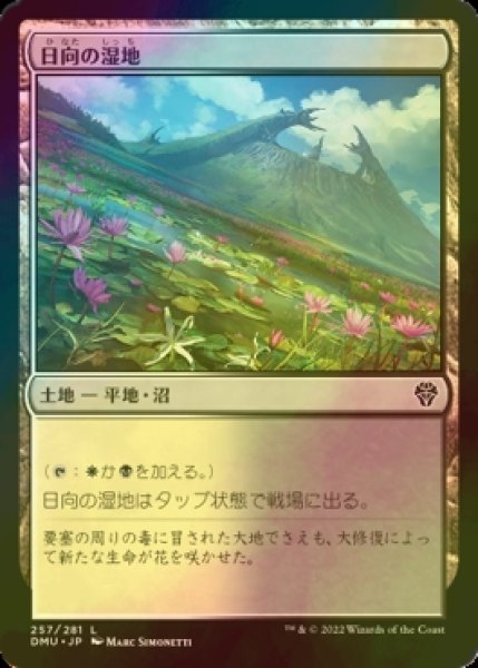 画像1: [FOIL] 日向の湿地/Sunlit Marsh 【日本語版】 [DMU-土地C] (1)