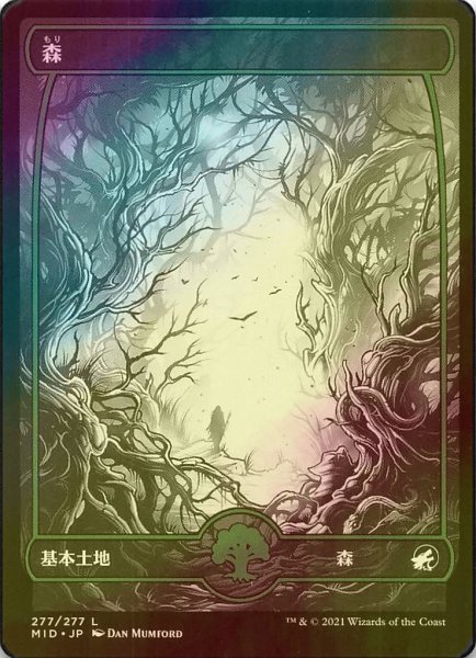 画像1: [FOIL] 森/Forest No.277 (海外産ブースター版) 【日本語版】 [MID-土地C] (1)