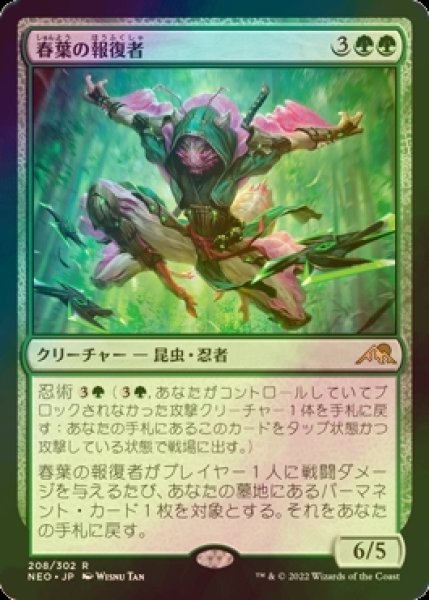 画像1: [FOIL] 春葉の報復者/Spring-Leaf Avenger 【日本語版】 [NEO-緑R] (1)