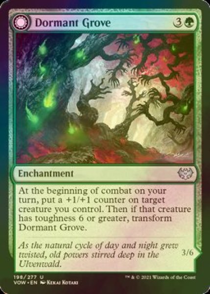 画像1: [FOIL] 休樹林帯/Dormant Grove 【英語版】 [VOW-緑U] (1)