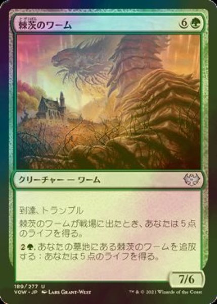 画像1: [FOIL] 棘茨のワーム/Bramble Wurm 【日本語版】 [VOW-緑U] (1)