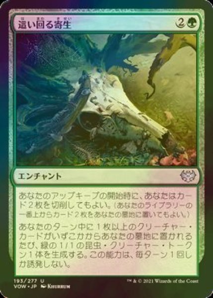 画像1: [FOIL] 這い回る寄生/Crawling Infestation 【日本語版】 [VOW-緑U] (1)