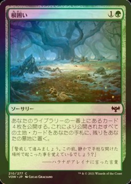 画像1: [FOIL] 根囲い/Mulch 【日本語版】 [VOW-緑C] (1)