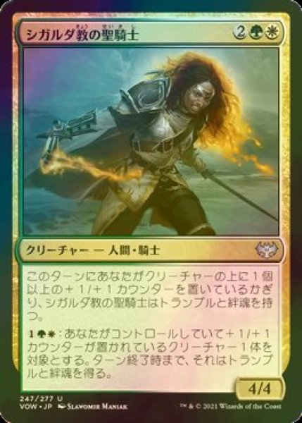 画像1: [FOIL] シガルダ教の聖騎士/Sigardian Paladin 【日本語版】 [VOW-金U] (1)