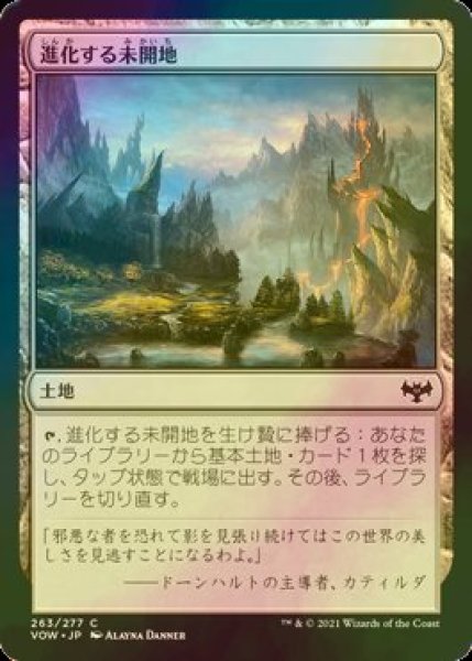 画像1: [FOIL] 進化する未開地/Evolving Wilds 【日本語版】 [VOW-土地C] (1)